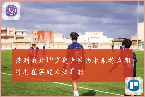 热刺看好19岁奥卢塞西未来潜力期待其在英超大放异彩